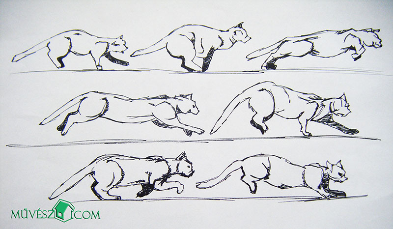 macska rajzolása 3