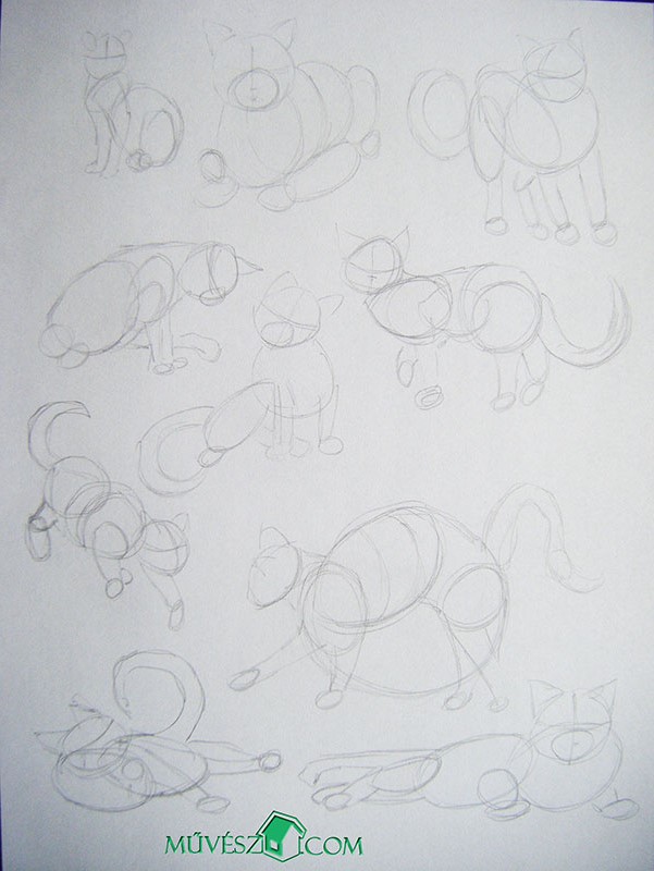 macska rajzolása 4