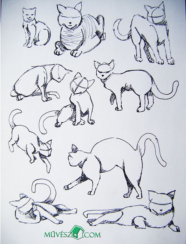 macska rajzolása 6