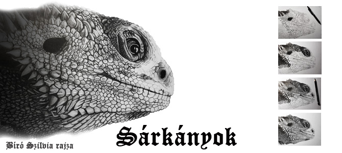 sárkány rajzok