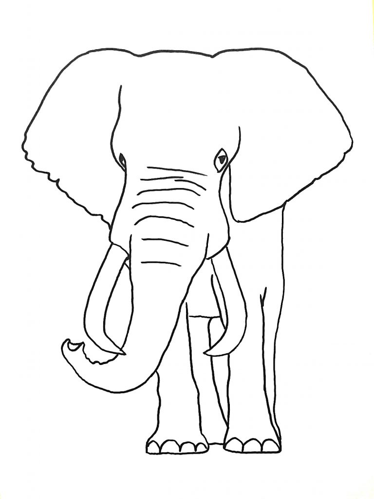 Elefánt rajz egyszerűen, gyorsan, kezdőknek - muveszhaz.com